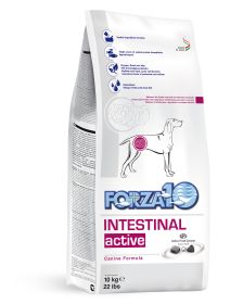 Forza10 Active Intestinal Dog Food – Support for Digestive Health