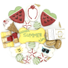 Summer-Themed Dog Treats Gift Box: Fun in the Sun for Your Pup