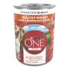 Purina ONE +Plus Lamb & Brown Rice Gravy Wet Dog Food