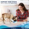 Forza10 Nutraceutic Sensitive Dog Tear Stain 4lb