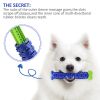 Dog Dental Chew Brush | 3-in-1 Tooth Cleaning Toy