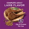 Purina Dog Chow Real Lamb Flavor Dry Dog Food