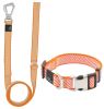 Convertible Dog Leash and Collar - 2-in-1, Durable, and Reflective