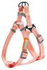 Durable Nylon Dog Harness and Leash - Comfortable Grip, and Accented Design